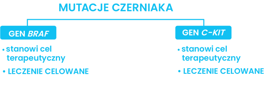 mutacje czernika